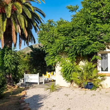 Cozy A Calenzana, 30 M² Avec Terrasse
